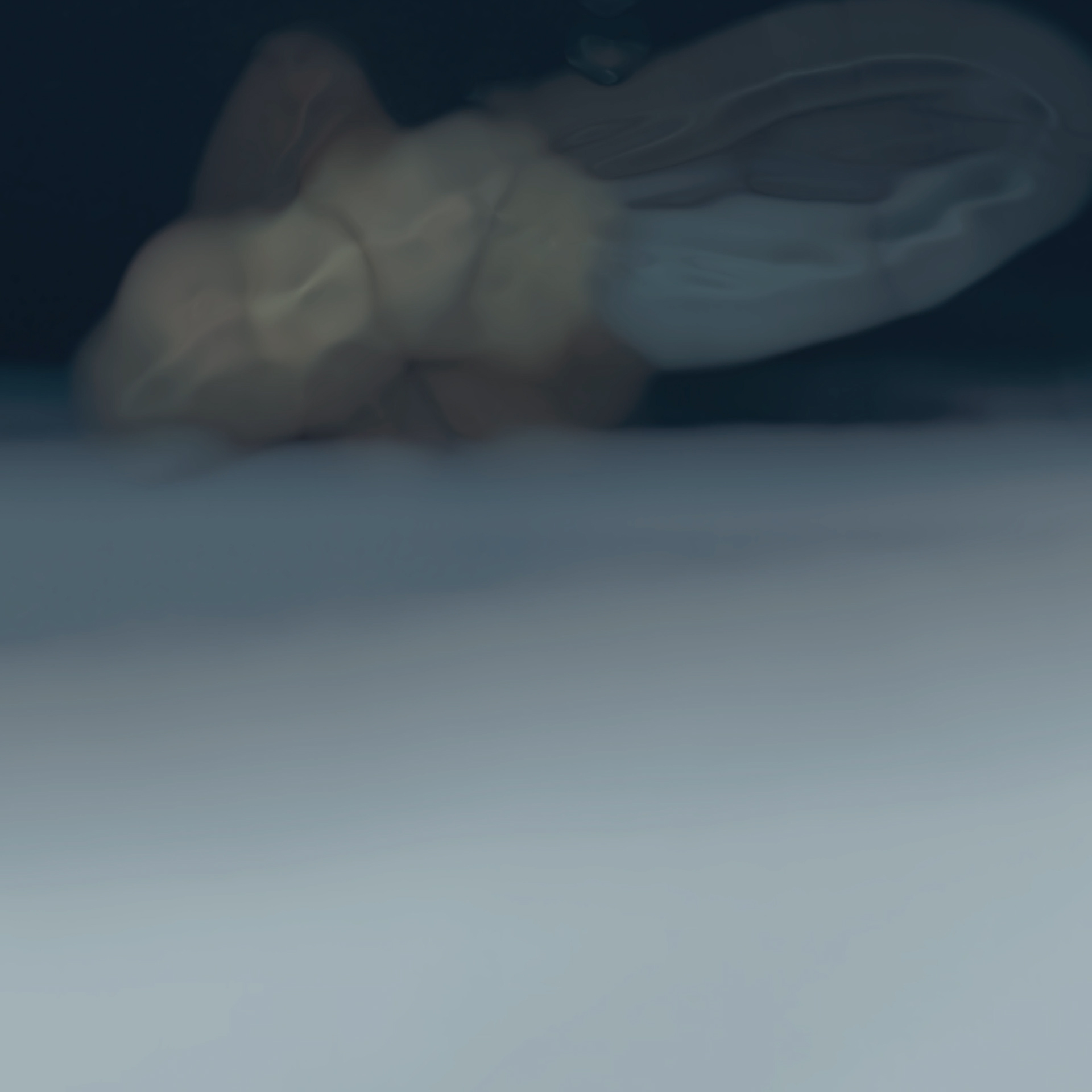 ALPS Stories Besuch aus Grönland Foto Julian Andrea Rupp